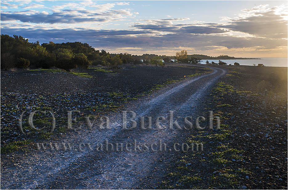 V&auml;gen vid havet - foto av Eva Bucksch